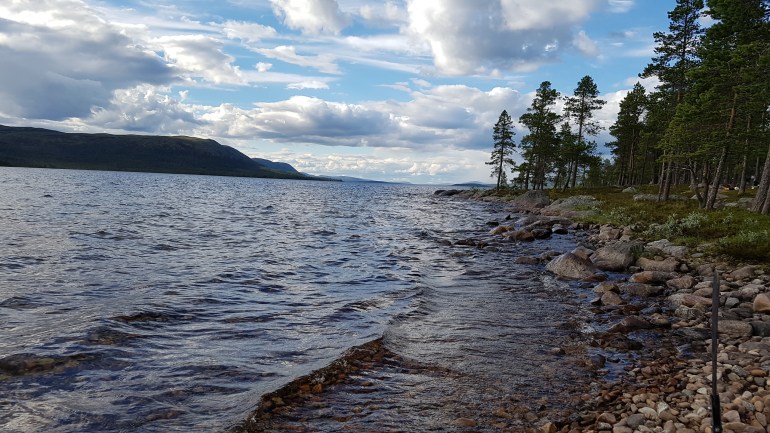 20170801_182233.jpg