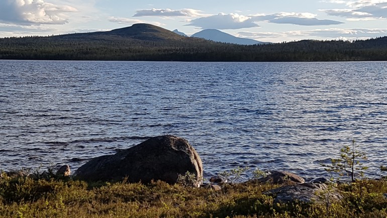 20170801_202228.jpg
